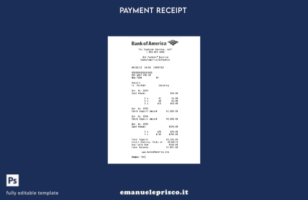 modello di controllo USA Bank of America in stile verificato
